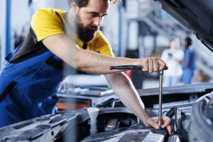 Zoom imagen4_1_6.webp