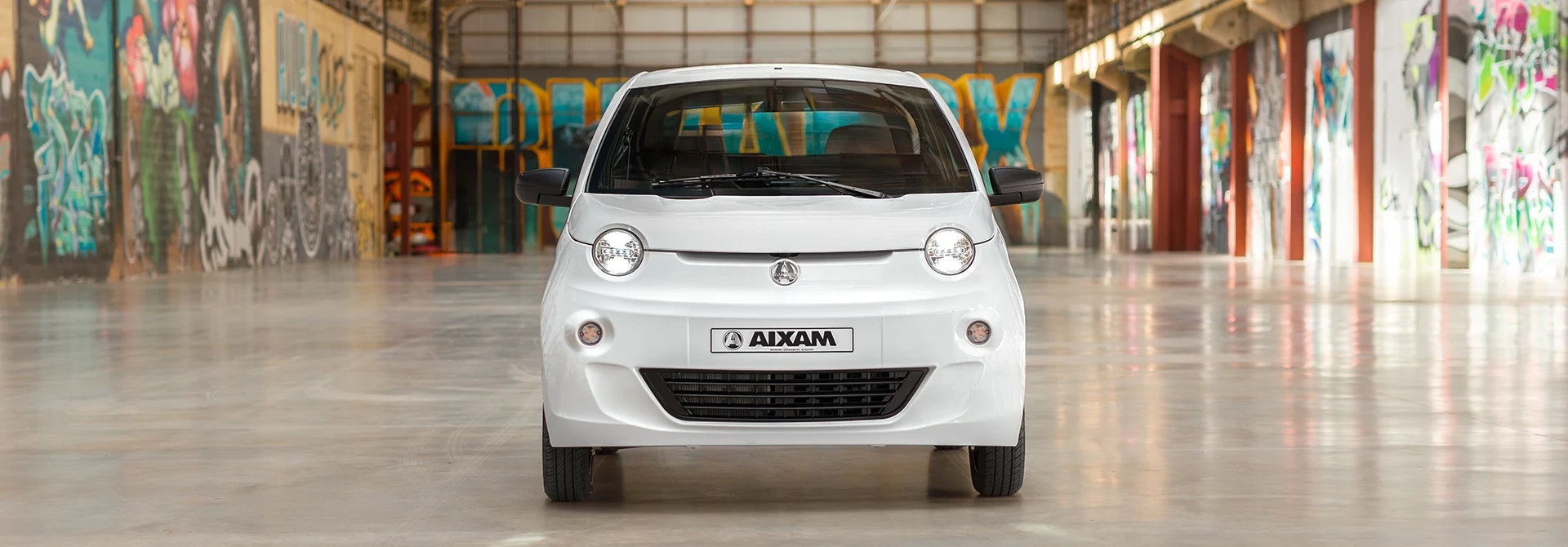 AIXAM EASY Access