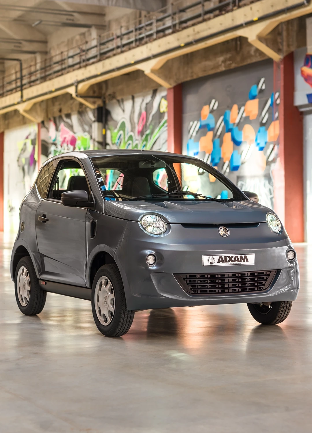 AIXAM EASY el&eacute;ctrico Access