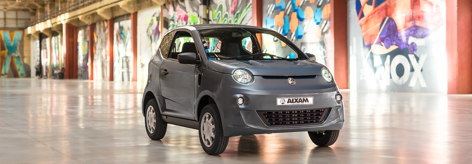 AIXAM EASY el&eacute;ctrico Access